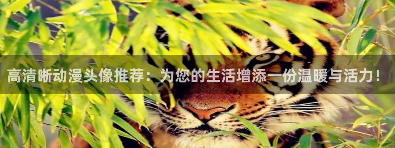 omofun官方app下载
